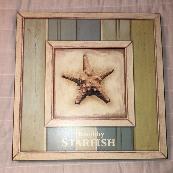 Vintage Style Sea World Shell Collection Wall Art - Picture 4 of 11